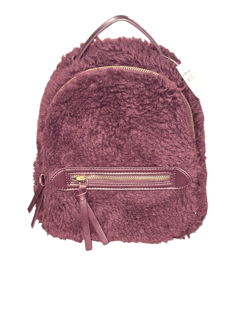 Express Teddy Mini Backpack